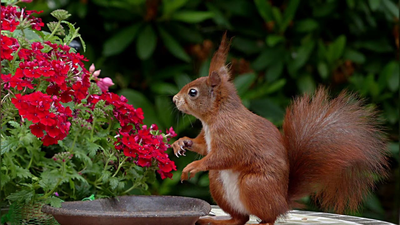 Find Your Path, Take Decisions, Find Your Place (Motivation)