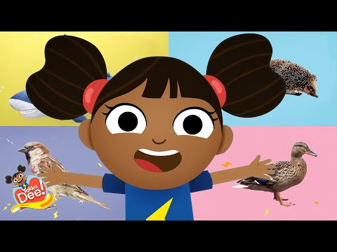 Aprendamos sobre los animales 🦆 | Yakka Dee Español Canal Oficial