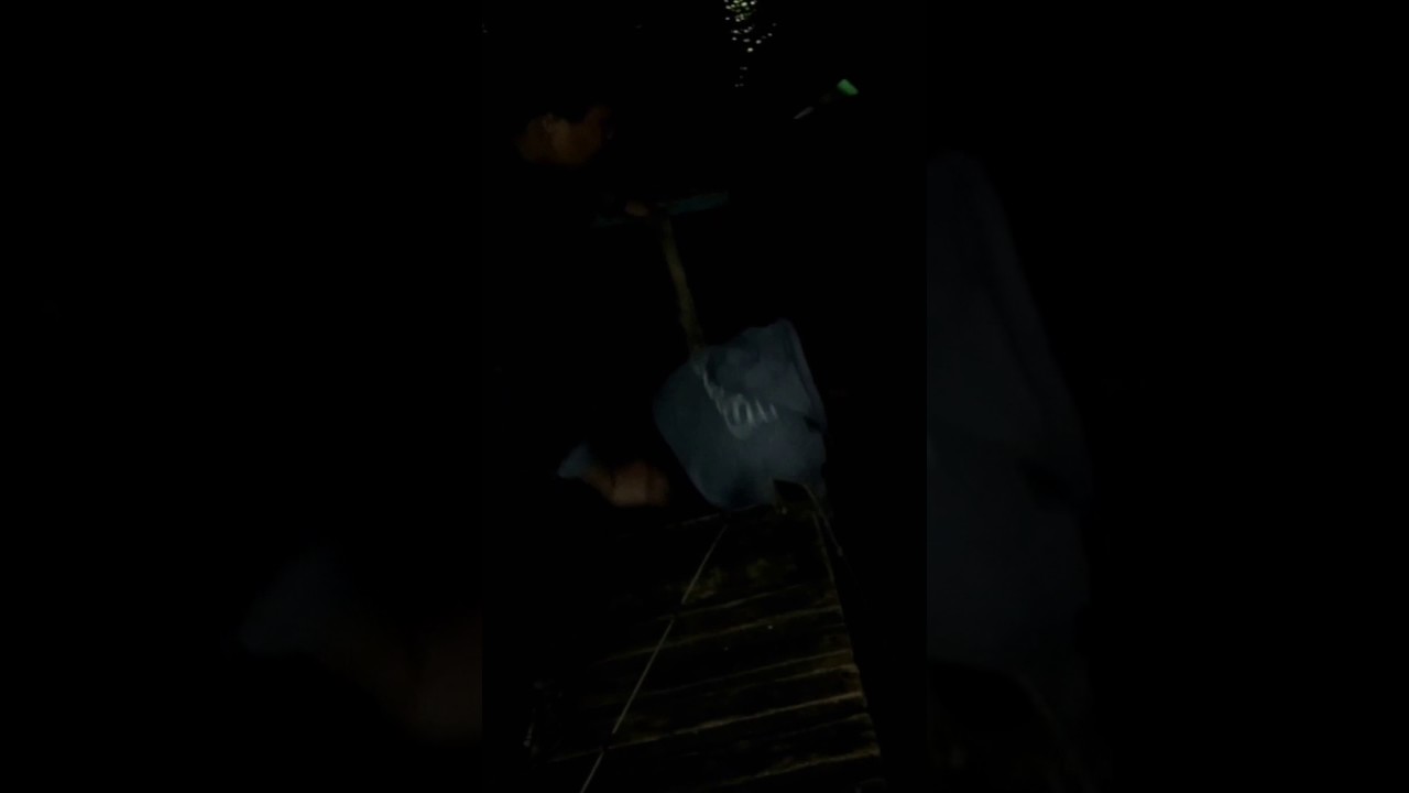 Mancing Setu babakan patin 2.5 kg....mantap dah