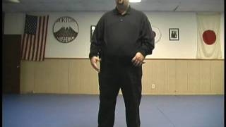 Discussion About Lethal Force