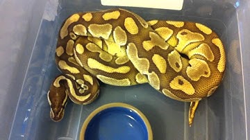 FULL COLLECTION UPDATE..8/2/2011