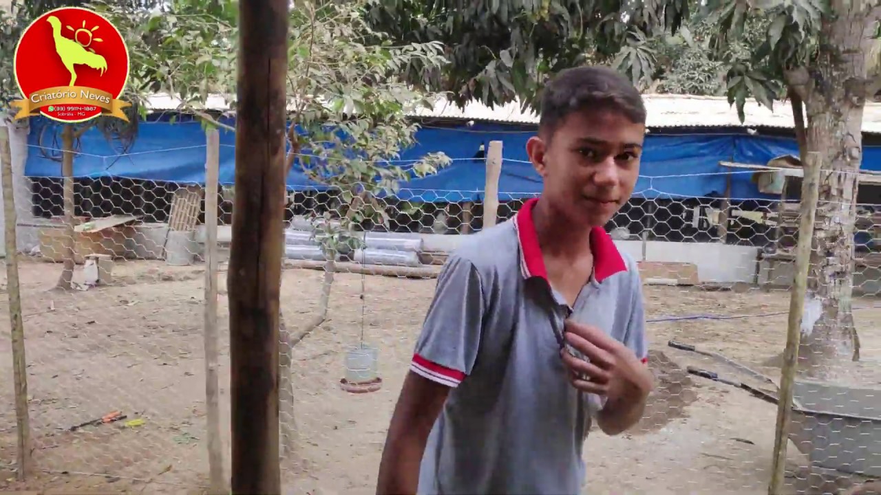 HOJE O DIA FOI MUITO PRODUTIVO, ADIANTAMOS BEM OS SERVIÇOS fazenda edinburgh