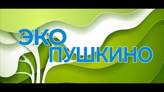 «ЭкоПушкино». Выпуск №8. Микропластик - что это такое и почему его стоит избегать?