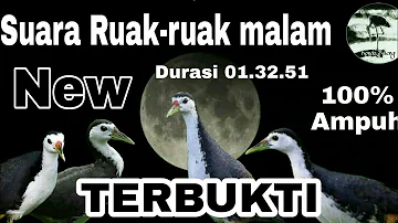 Suara panggil burung Ruak-ruak malam. Sekali bunyi langsung terbukti cocok untuk OTT