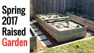 Spring 2017 Raised Garden - Dallas, TX