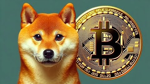 BITCOIN & SHIBA INU CRYPTO MARKET UPDATE