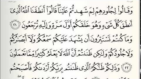 ما تيسر من سورة فصلت بصوت هادئ و مؤثر