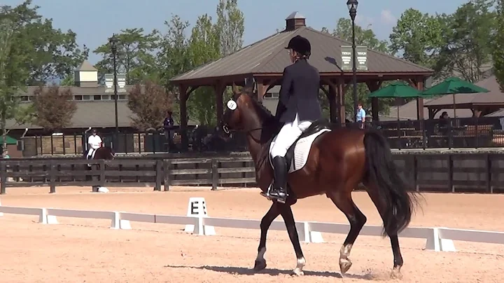 Lucille Hooper & Caesar at USPC Dressage Champions...
