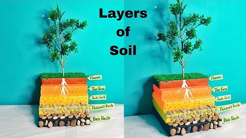 Model of layers of soil/Soil Profile/Model of composition of soil/School Project/Layers of soil#soil