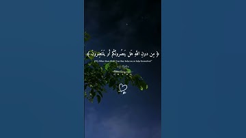 تلاوهُ هادئهَ للقارئ أحمد النفيس/ وَلَا تُخْزِنِي يَوْمَ يُبْعَثُونَ 🤍 .