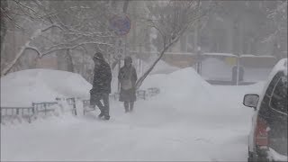 Снежный апокалипсис в Москве 4.02.18