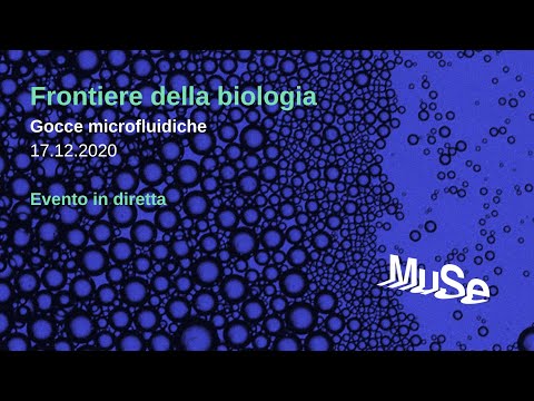 Video: Che cos'è un processo dinamico in biologia?