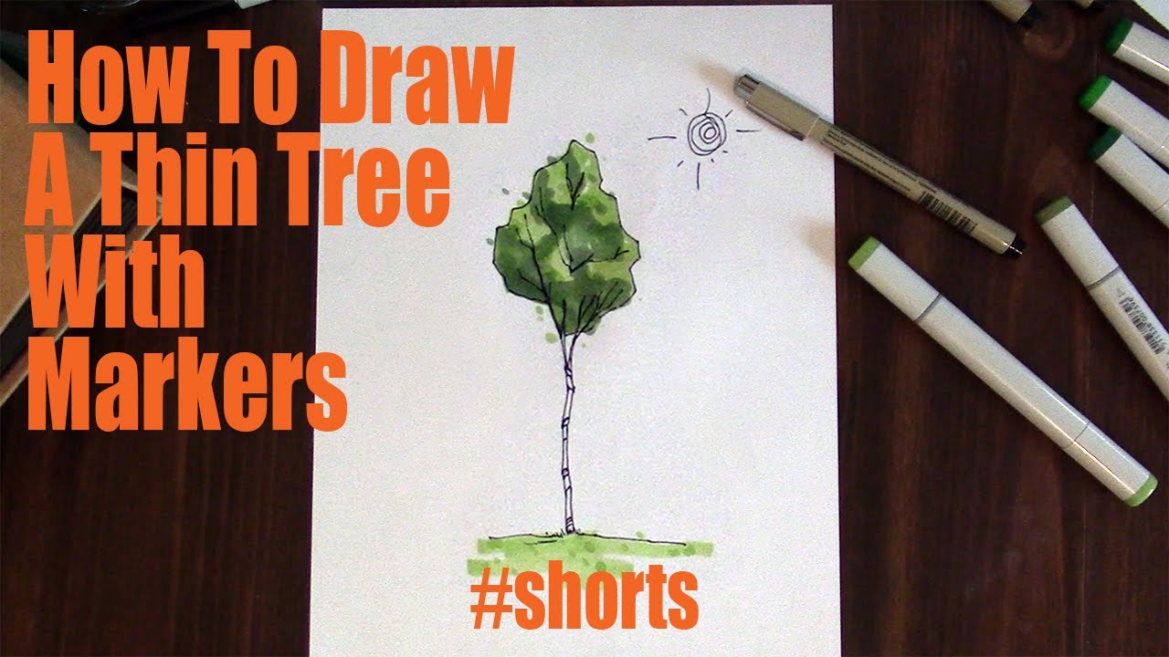 How To Draw A Thin Tree With Markers #Shorts - YouTube