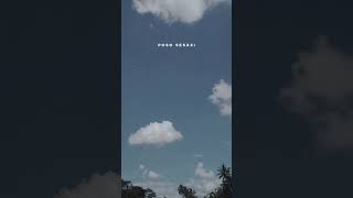 Download Lagu Tobat Ngandani - Denny Caknan #dennycaknan #tobatngandani #trending #liriklagu #storywa #fyp #viral MP3