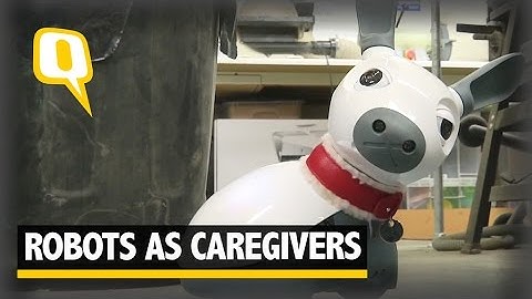 The Quint: These Biomimetic Robots in the UK Can be Your Next Best Friend