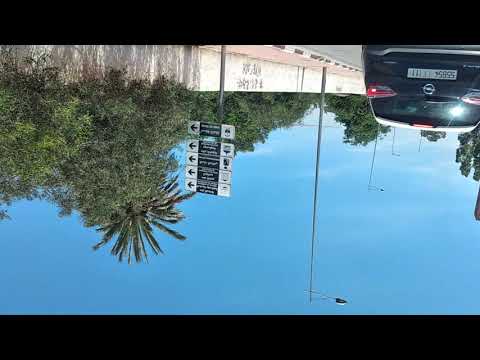 Vidéo: 3 Scènes De L'autoroute Cuervo - Réseau Matador