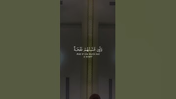 قرآن كريم حالات واتس اب دينية | وديع اليمني