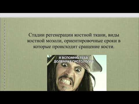 7. Стадии регенерации костной ткани, виды костной мозоли, сроки в которые происходит сращение кости.