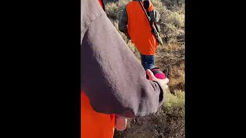 2020 Utah Mule Deer Hunt