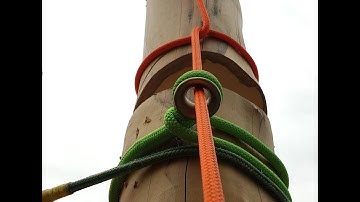 Spider-sling with ArboRing