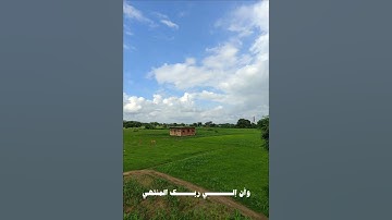 وان ليس للإنسان الا ما سعى للقارئ محمد صديق المنشاوي#beautiful #اكسبلور #reels #راحة_نفسية #trending