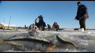 ПЕРВЫЙ ЛЁД.  ОТКРЫЛИ ЗИМНИЙ СЕЗОН 2019