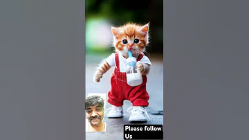 Dude Dudi Dum Dum Cute Funny 