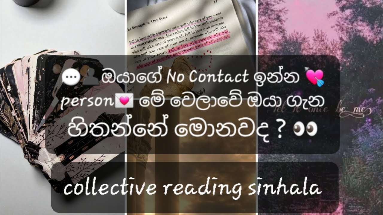 💬👤ඔයාගේ No Contact ඉන්න💘 person 💌 මේ වෙලාවේ ඔයා ගැන හිතන්නේ මොනවද?👀 |collective reading sinhala 🔮💫