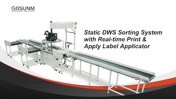 Static DWS sorting with real-time printing line
