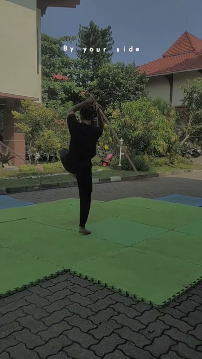 full power seni tunggal IPSI#silat #psht #storywa #instareels #sambungpsht #pialadunia