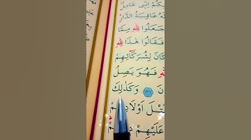 سورة الأنعام الأية 136 إلى 137 القارئ سعد الغامدي