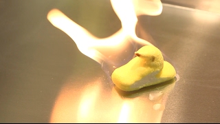 Peep Endurance - Peeps on Fire!