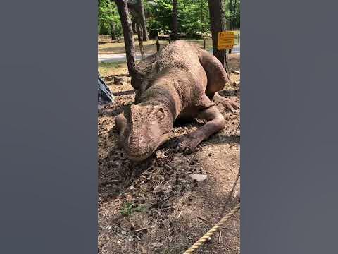 Динозавр - YouTube