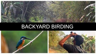 We found a lot of birds from backyard | Urban birding | Birdwatching India