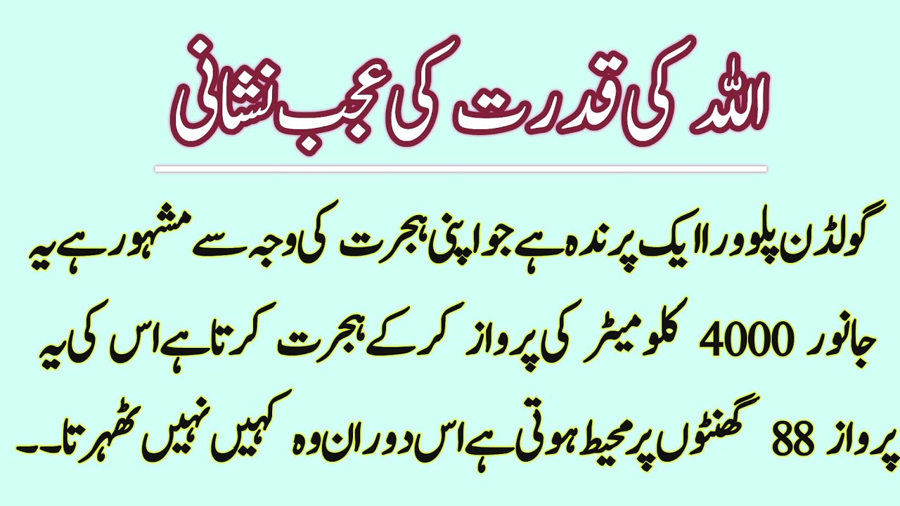 Allah Ki Qudrat Ki Ajeeb Nishani | Allah Ki Nishani |Sabaq Amooz Kahani ...