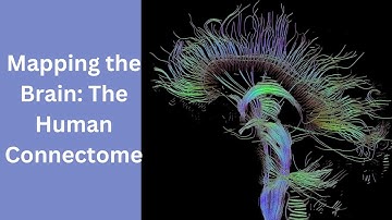 🧠 Mapping the Brain: The Human Connectome