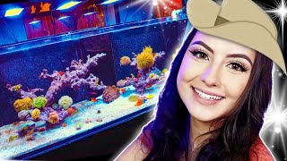 Reef Tank Update - The Good, Bad, and Ugly