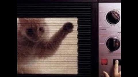 [Beat Saber] The Cat Evolved Into The Microwave-proof Cat! Expert SS clear