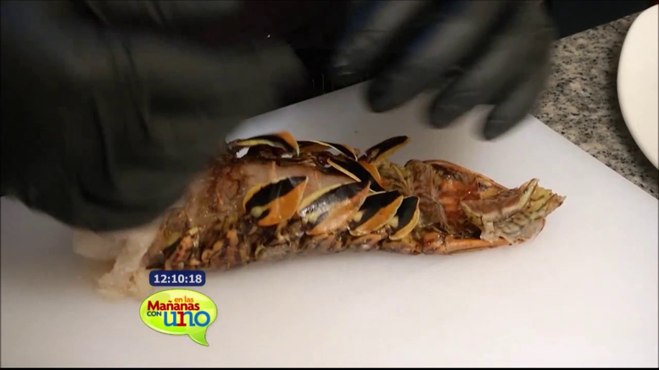 Aprende a preparar un bisque de langosta YouTube