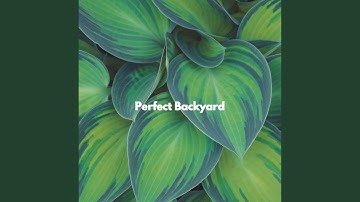 Vibrant Ambience for Limitless Eras