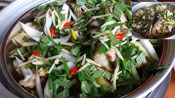 #Cá Lóc Đồng Hấp Dưa Cải Chồng Khen Ngon #Tuyethongchanel.