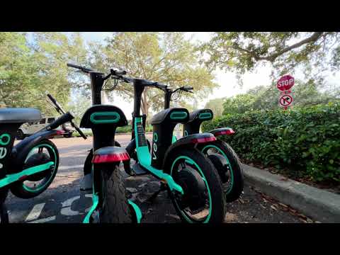 3628 50th Ave N, St Petersburg, FL home video tour