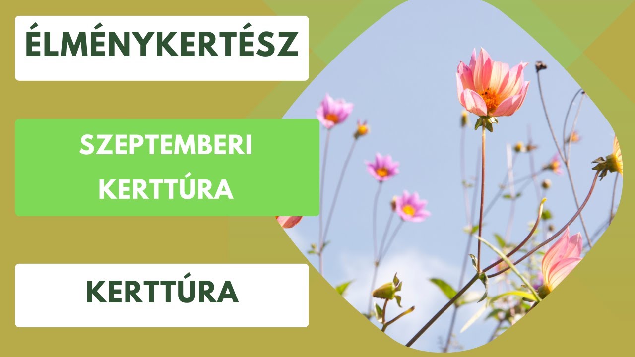 Szeptemberi kerttúra és összefoglaló az őszi teendőkről!🍂🍃