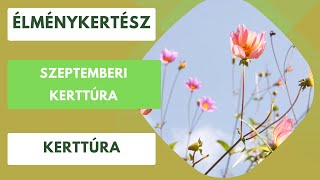Szeptemberi Kerttúra És Összefoglaló Az Őszi Teendőkről