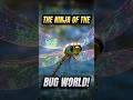 The Ninja of the Bug World! #animals #shorts