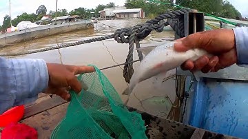 🦐Fishing 62🐟Ngay Ổ Cá Cóc Rồi Xệ Nách Luôn🐟