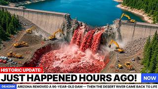 Arizona Removed a 96-Year-Old Dam — Then the Desert River Came Back to Life