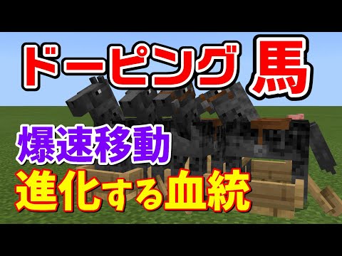 ドラッグで馬の血統因子を操作して繁殖させる爆速ウマ牧場[マイクラ統合版/1.17/Bedrock](Win10/PE/Switch/PS/Xbox)