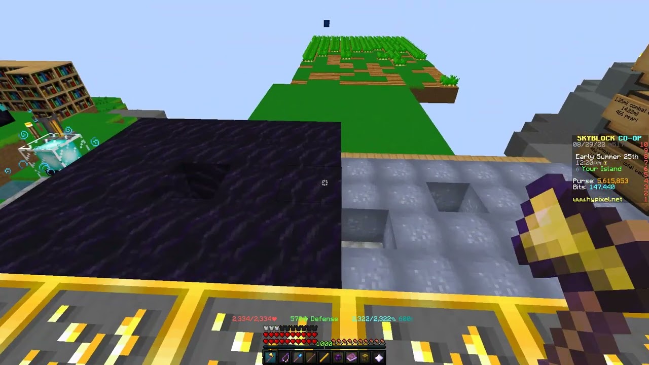 How To FIX The Bazaar Suggestions Long Term Investments Hypixel how-to-fix-the-bazaar-suggestions-long-term-investments-hypixel