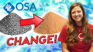 How To EASILY Change Aquarium Substrate